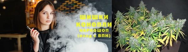 крисы Пыть-Ях