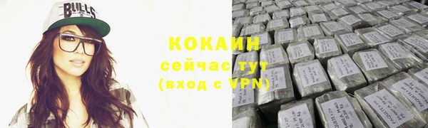 спайс Касимов