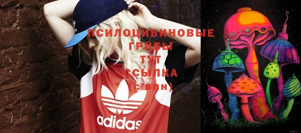прущий лед Карталы